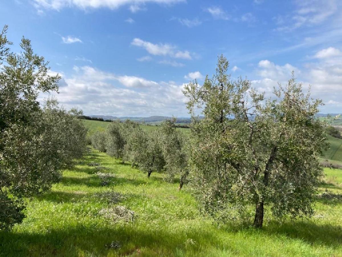 Bio Agriturismo Il Torrione Villa Saturnia Exterior photo