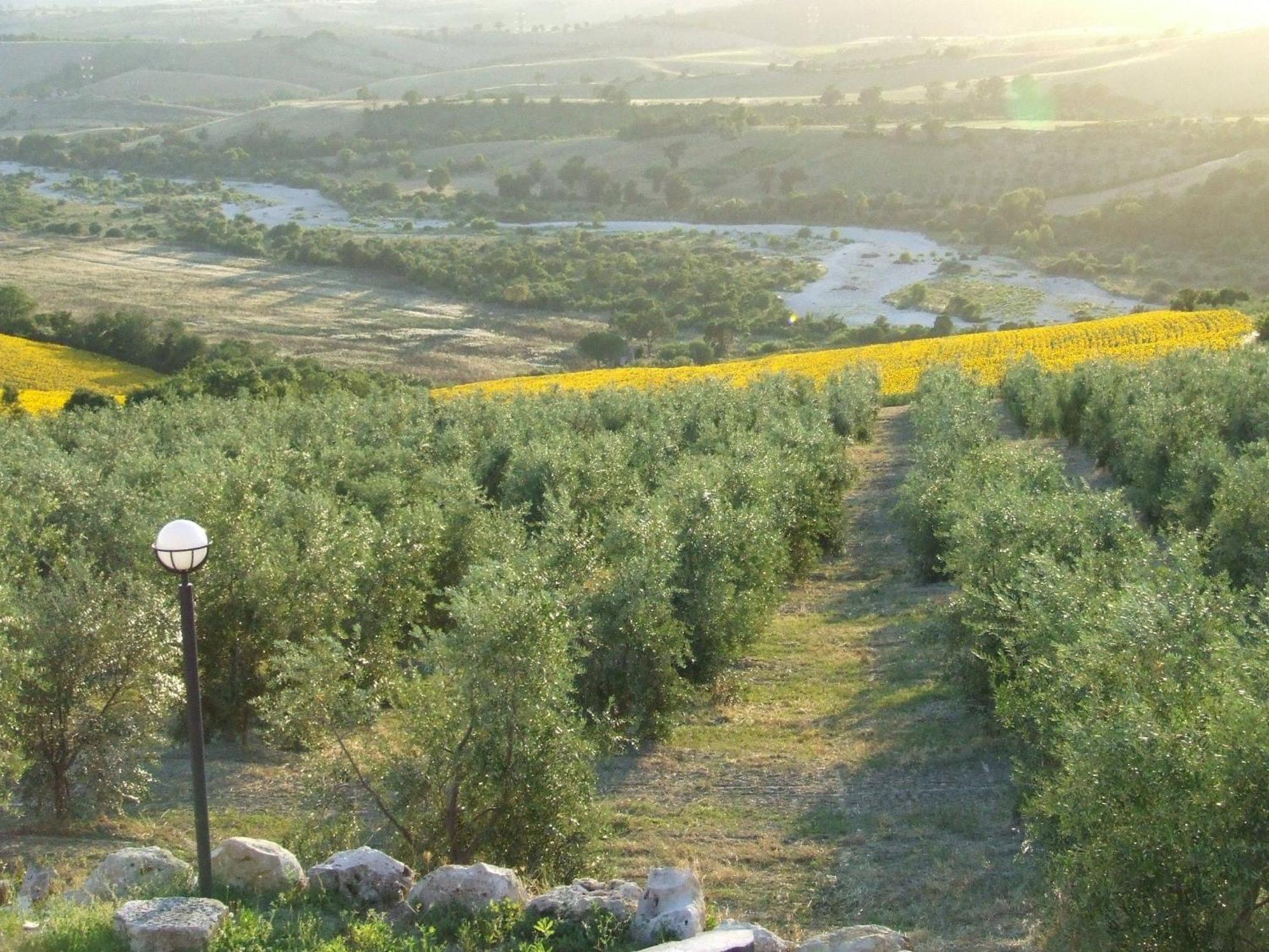 Bio Agriturismo Il Torrione Villa Saturnia Exterior photo